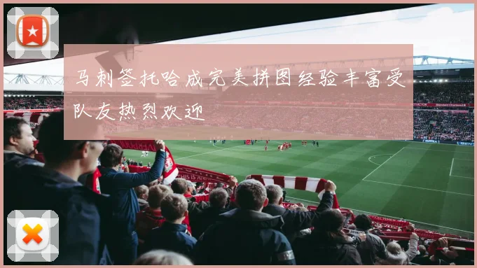马刺签托哈成完美拼图经验丰富受队友热烈欢迎