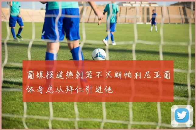 葡媒报道热刺若不买断帕利尼亚葡体考虑从拜仁引进他